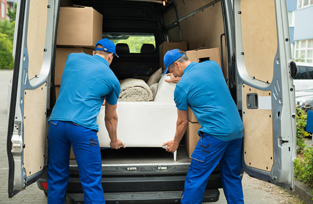 Toenail Trimming With pet Wash