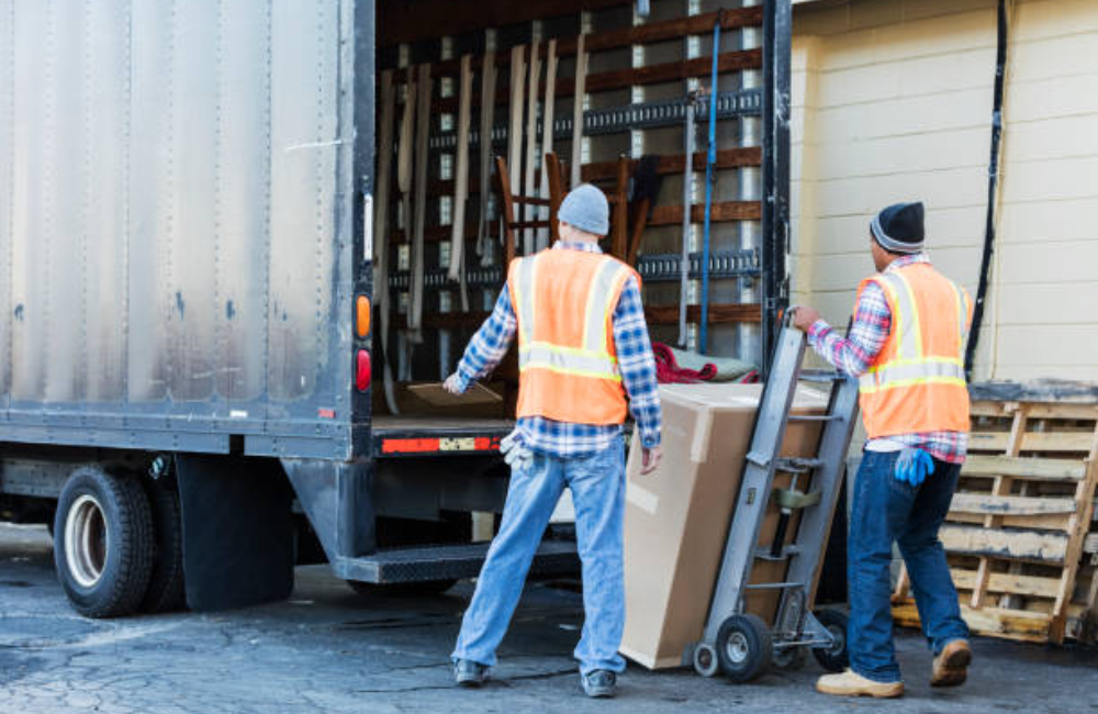 Toenail Trimming With pet Wash