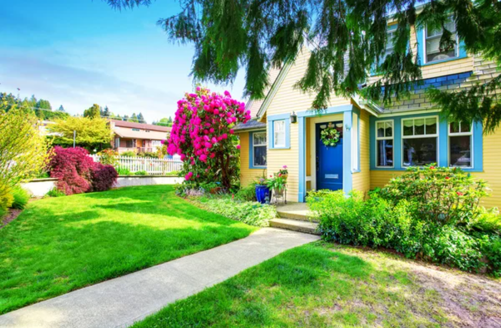 Toenail Trimming With pet Wash