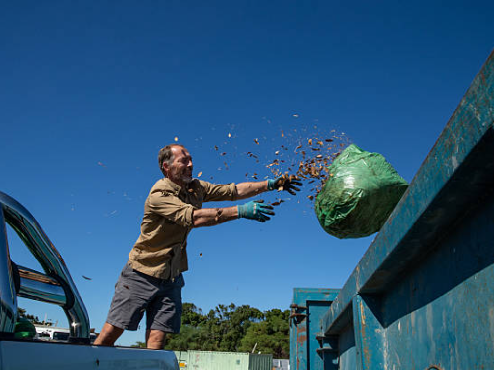 Toenail Trimming With pet Wash