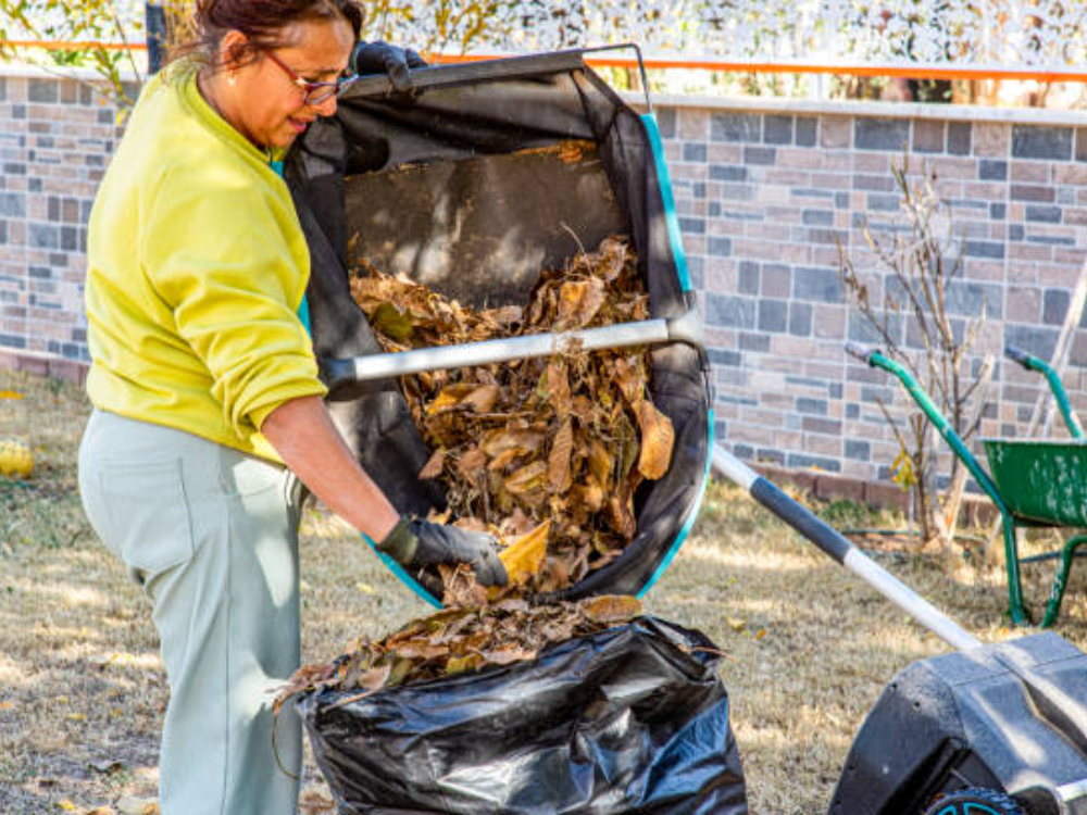 Toenail Trimming With pet Wash
