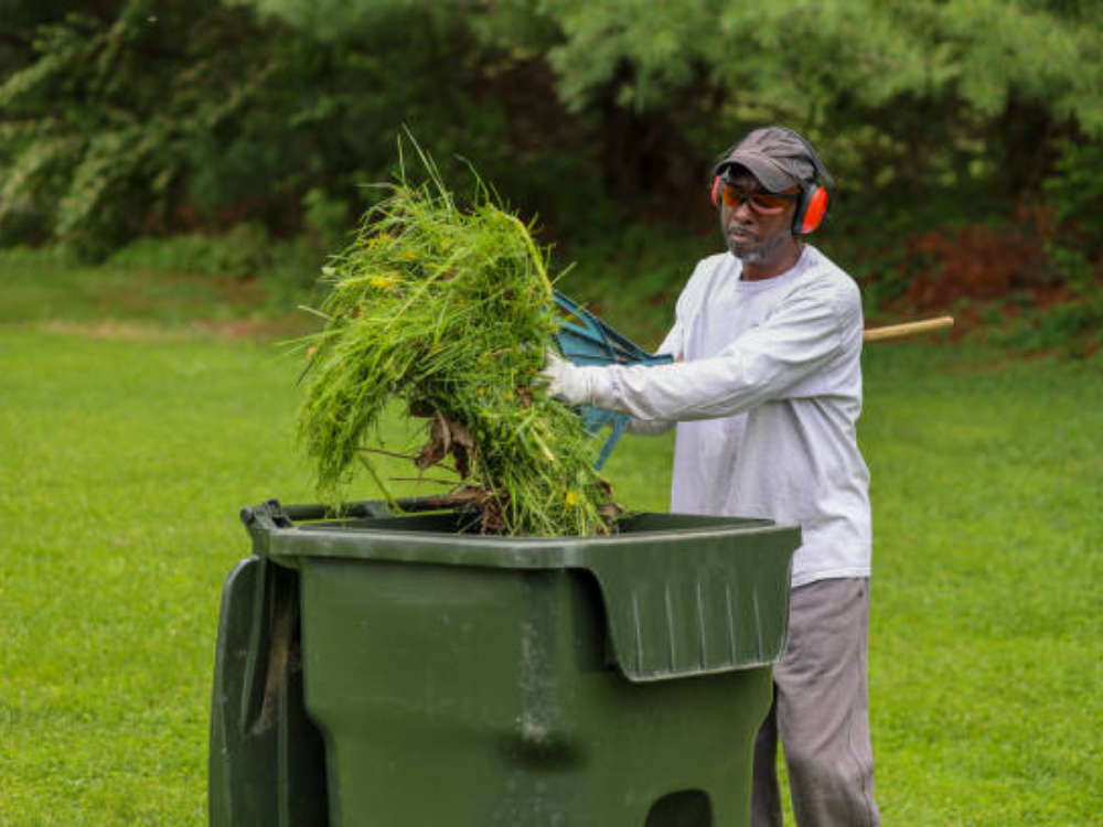 Toenail Trimming With pet Wash