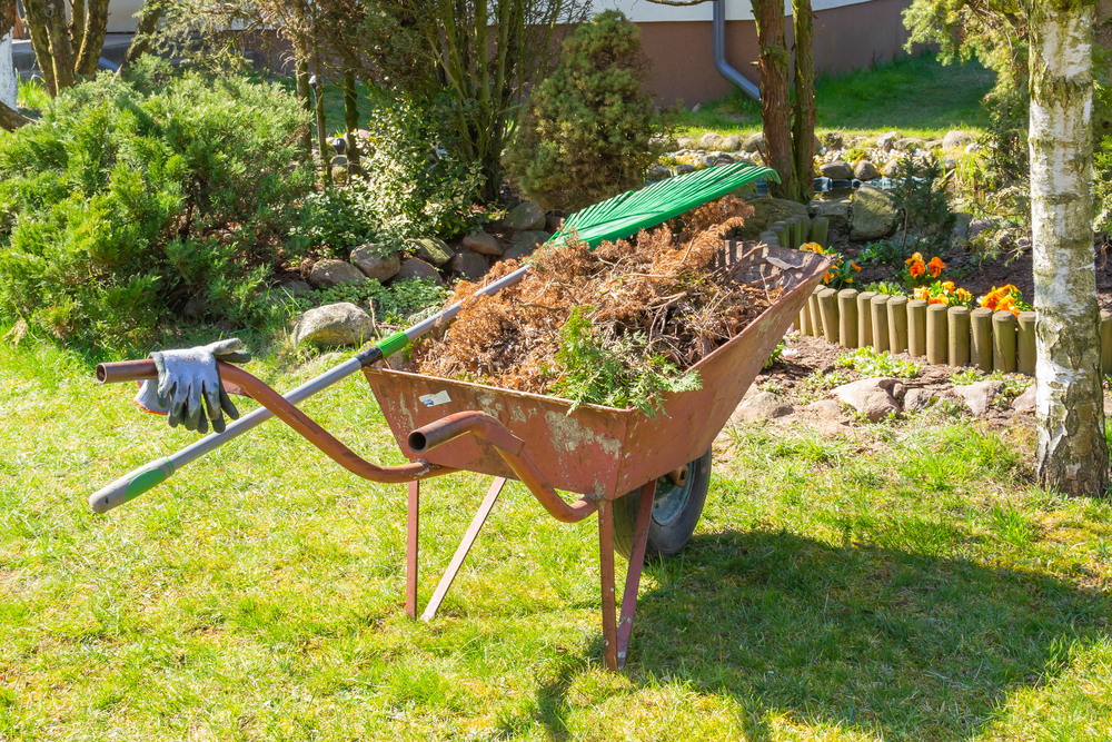 Moving Yard Waste Cleanup