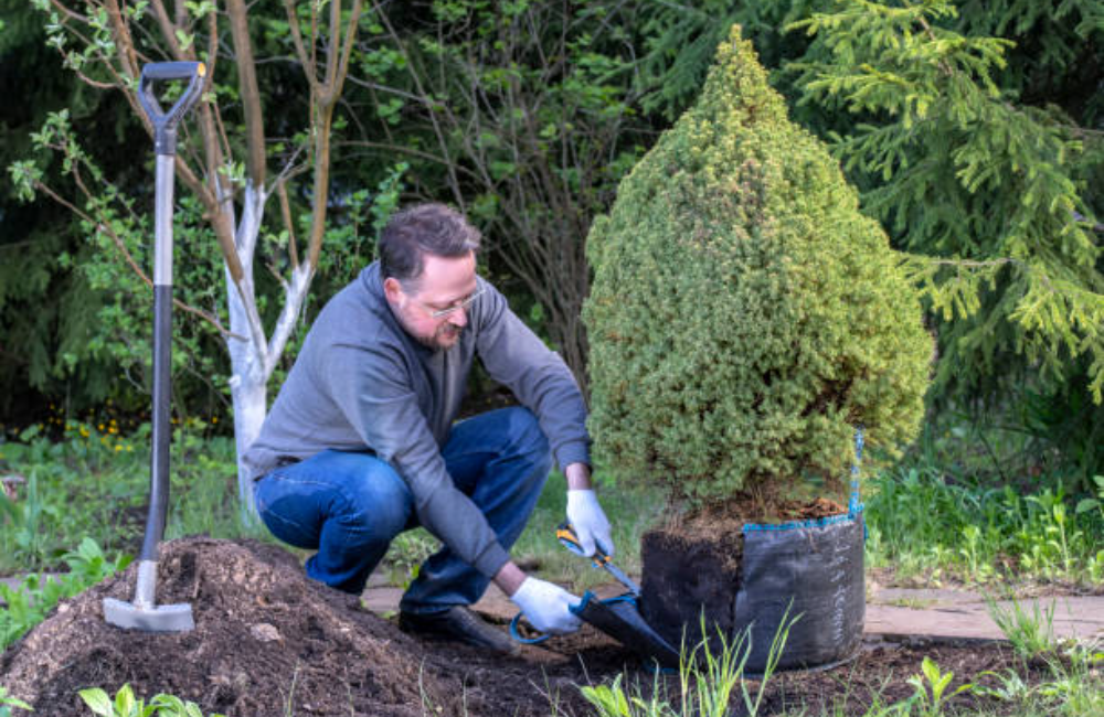 Toenail Trimming With pet Wash
